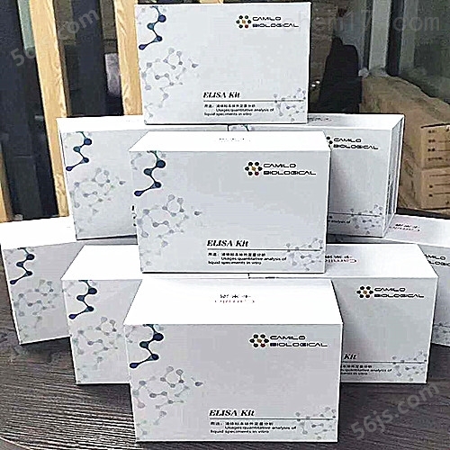 国产小鼠elisa试剂盒供应商