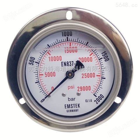 高压压力表TY-300型号表