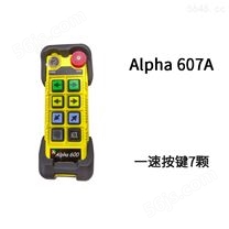 阿尔法600系列-Alpha 607A (433MHz)