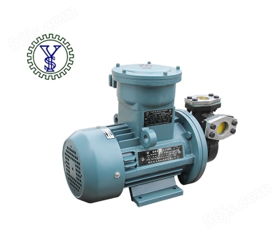 YS-15C-EX热水/热油旋涡泵