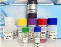 ELISA酶联免疫检测试剂盒