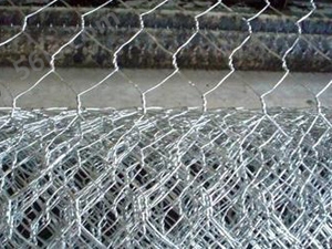 不锈钢拧花六角网