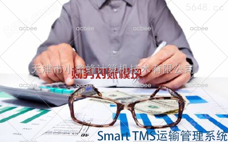 Smart TMS运输管理系统——财务对账模块
